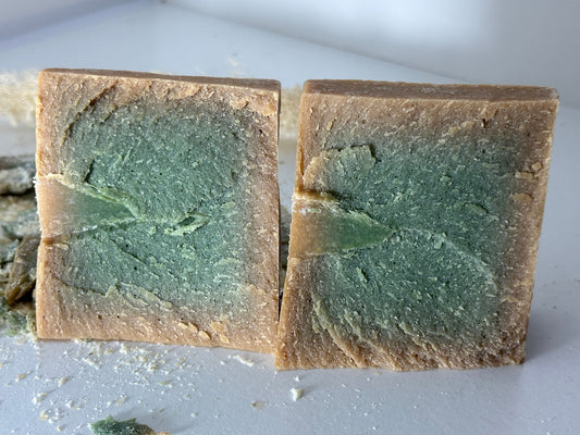 Bay Laurel Soap 5% - Aleppo Soap