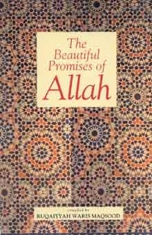 Beautiful Promises of Allah
