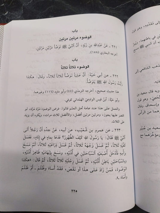 تهذيب شرح السنة | Tahtheeb Sharh Al-Sunnah