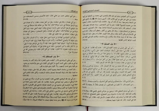 التصنيف الموضوعي لتاريخ بغداد|Al-Tasneef Al-Mawdu'i Li-Tarikh Baghdad