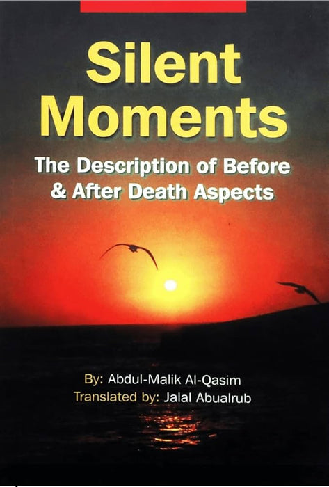 Silent Moments: The Description of Before and After Death Aspects