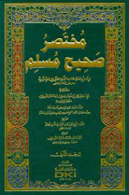 مختصر صحيح مسلم | Mukhtasar Sahih Muslim - 1 Volume