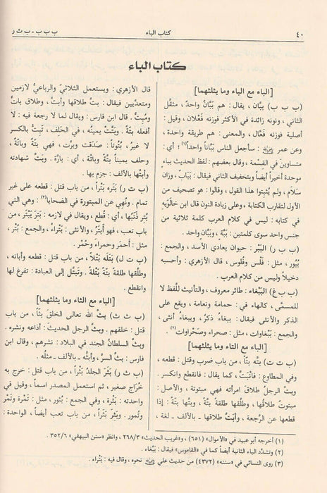 المصباح المنير في غريب الشرح الكبير|Al-Masabih Fi Gharib Al-Sharh Al-Kabeer