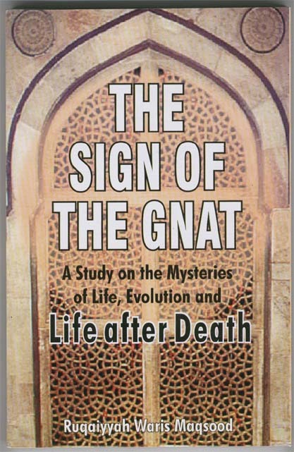The Sign of the Gnat