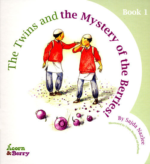 The Twins And the Midnight Adventure Book2